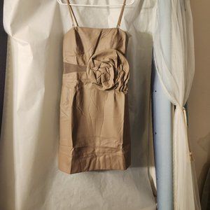 NWT Lucy & Co Tan Mini Dress size Large.